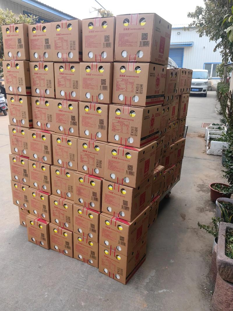 广州贸易市场的微变化与机遇